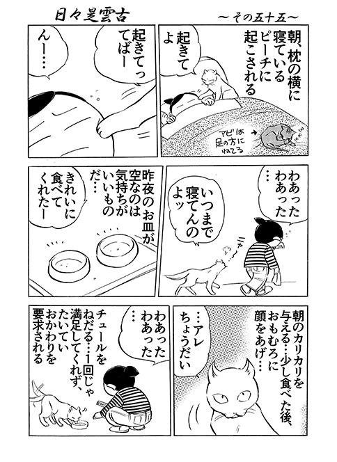 Ȃ@Ȃ̕@ŋ߂̂Ȃ@X_55