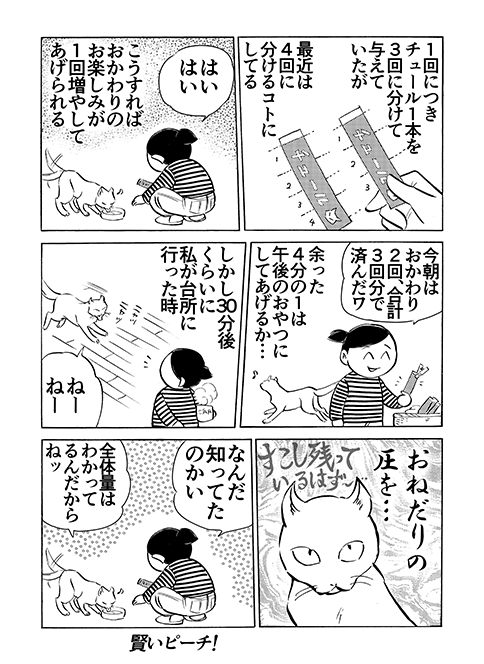 Ȃ@Ȃ̕@ŋ߂̂Ȃ@X_55